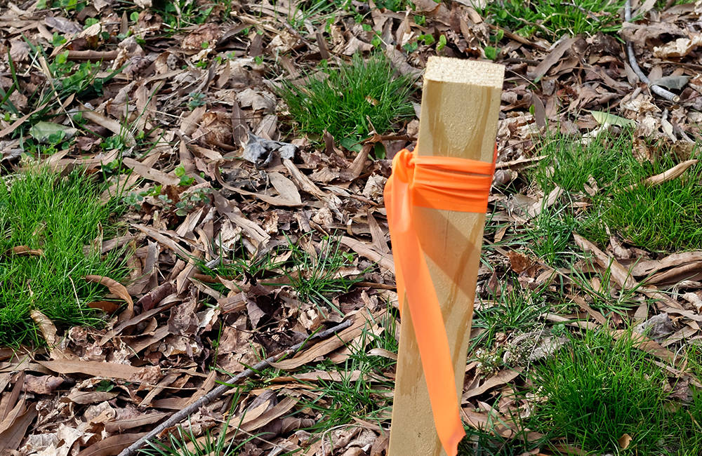 Limite de terrain à l'aide du piquetage.