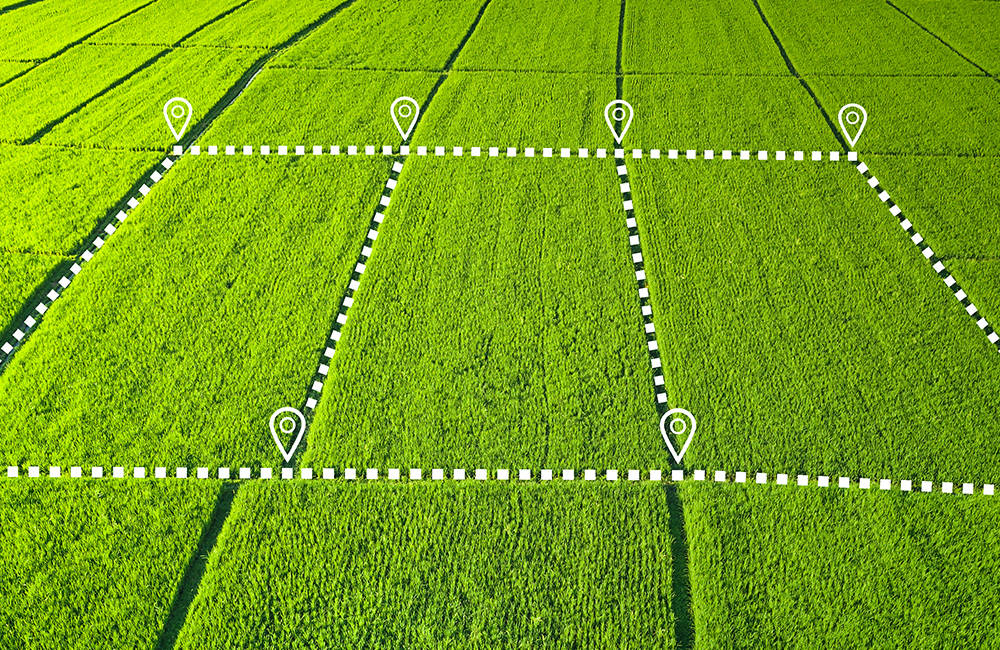 Subdivision d'un terrain.